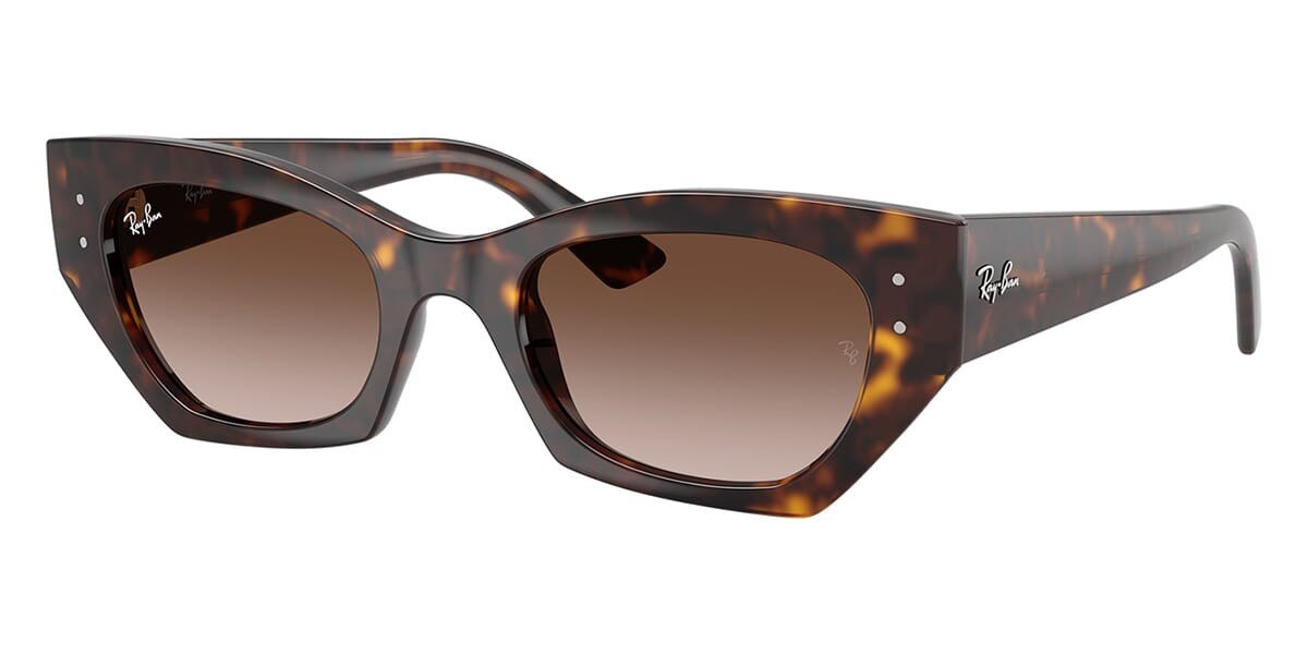Ray-Ban RB4430